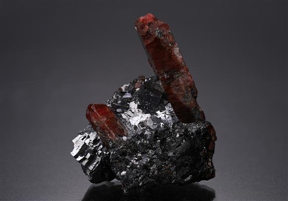CC14225 specimen image