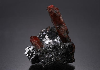 CC14225 specimen image