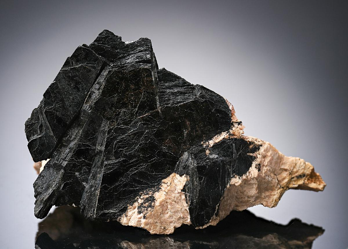 CC14229 specimen image