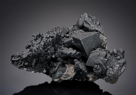 CC14232 specimen image