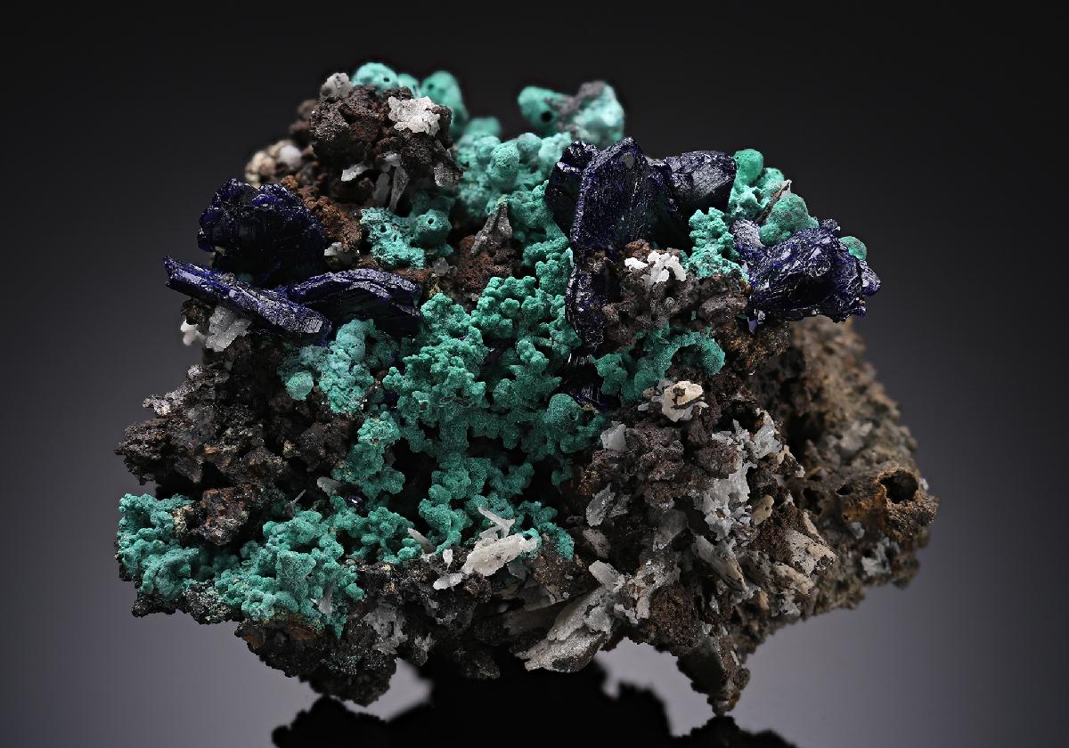 CC14233 specimen image