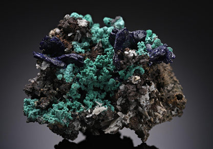 CC14233 specimen image