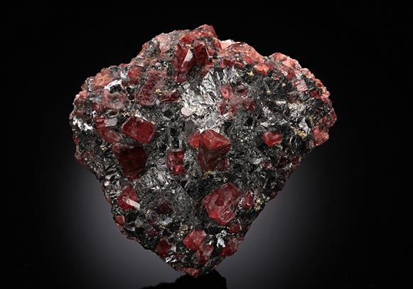 CC14278 specimen image
