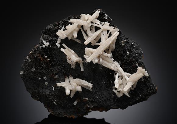 CC14283 specimen image