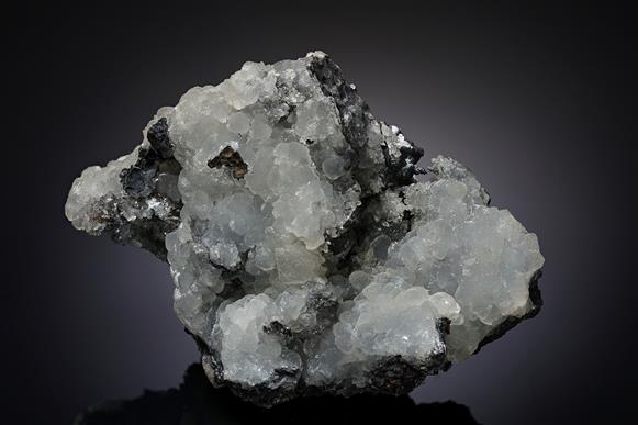 CC14286 specimen image