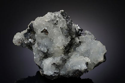 CC14286 specimen image