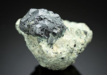 CC14295 specimen image