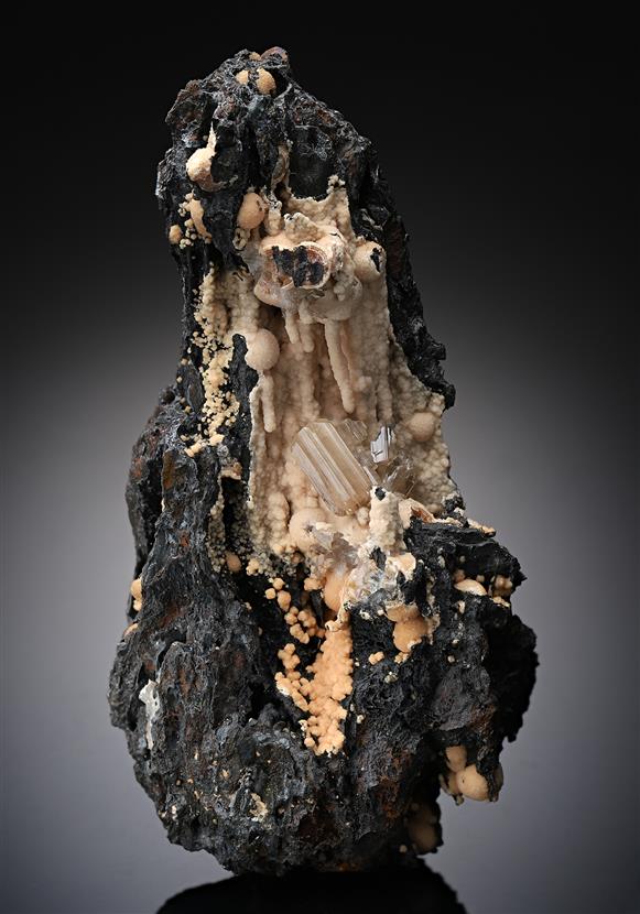CC14298 specimen image