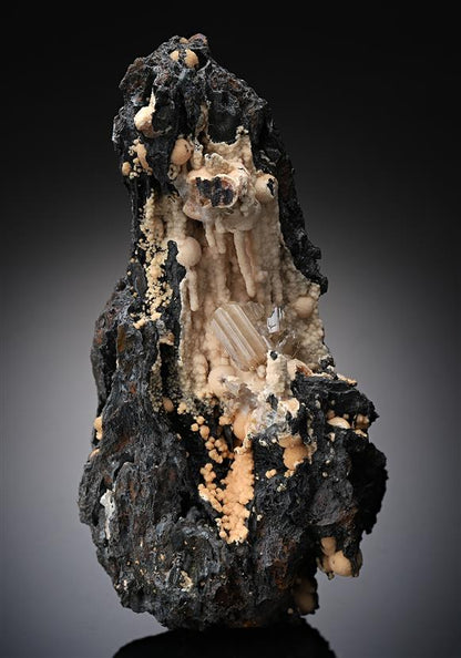 CC14298 specimen image