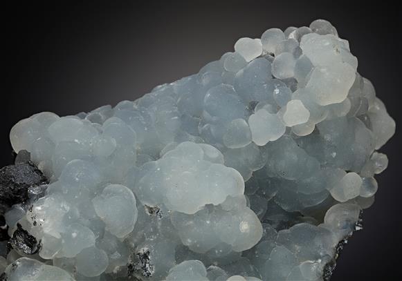 CC14301 specimen image