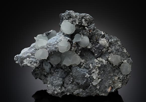 CC14304 specimen image