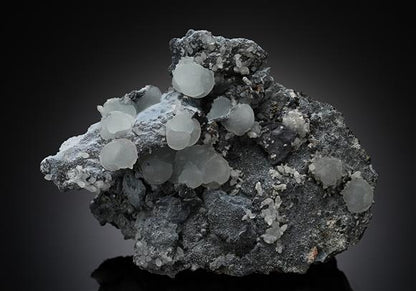 CC14304 specimen image