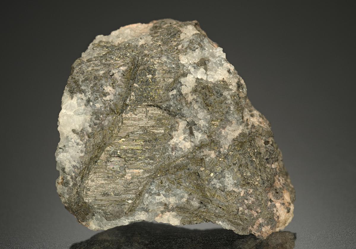 CC14346 specimen image