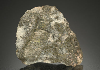 CC14346 specimen image