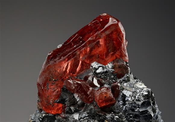 CC14397 specimen image