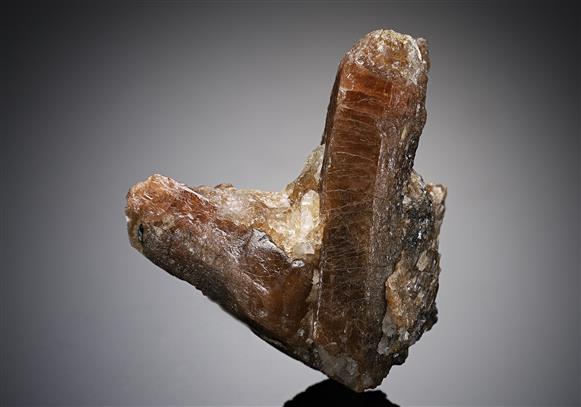 CC14399 specimen image