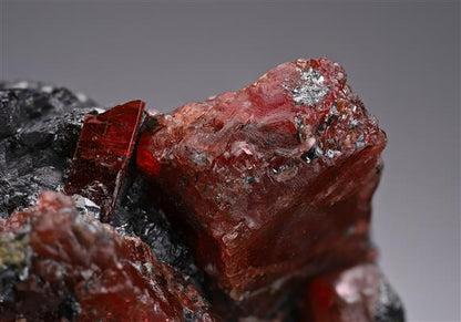 CC14401 specimen image