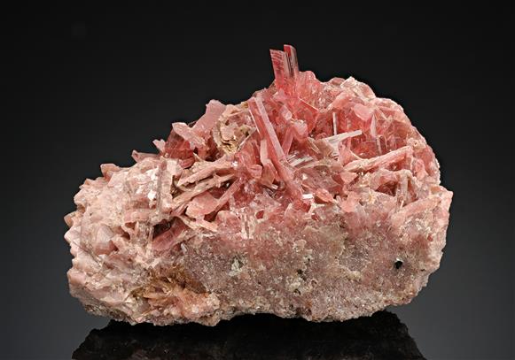 CC14408 specimen image