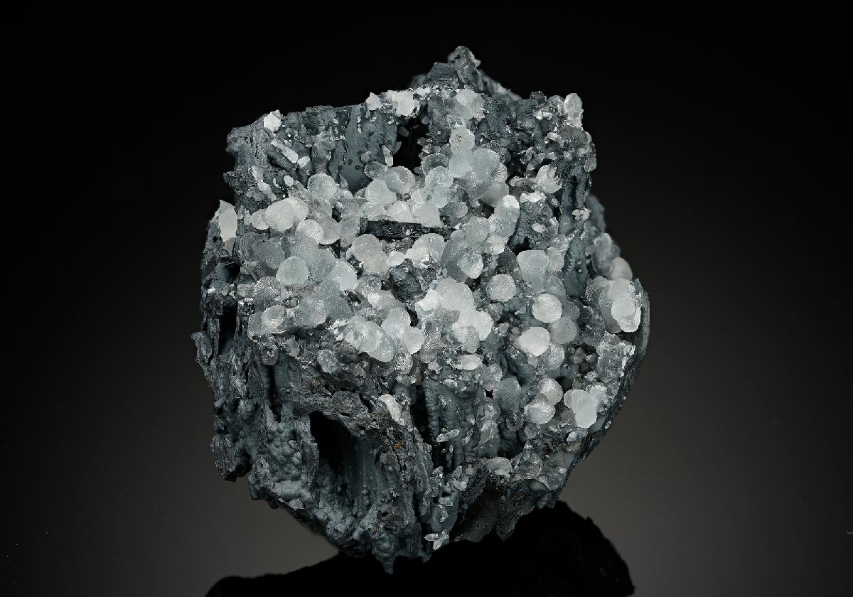 CC14417 specimen image