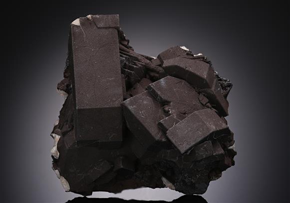 CC14418 specimen image