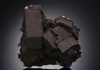 CC14418 specimen image