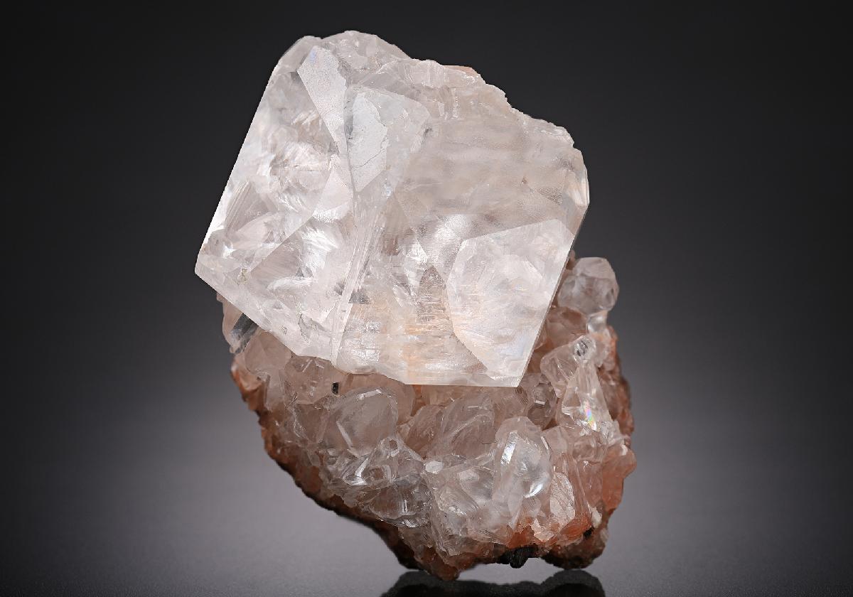 CC14480 specimen image