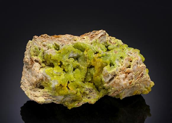 CC14481 specimen image
