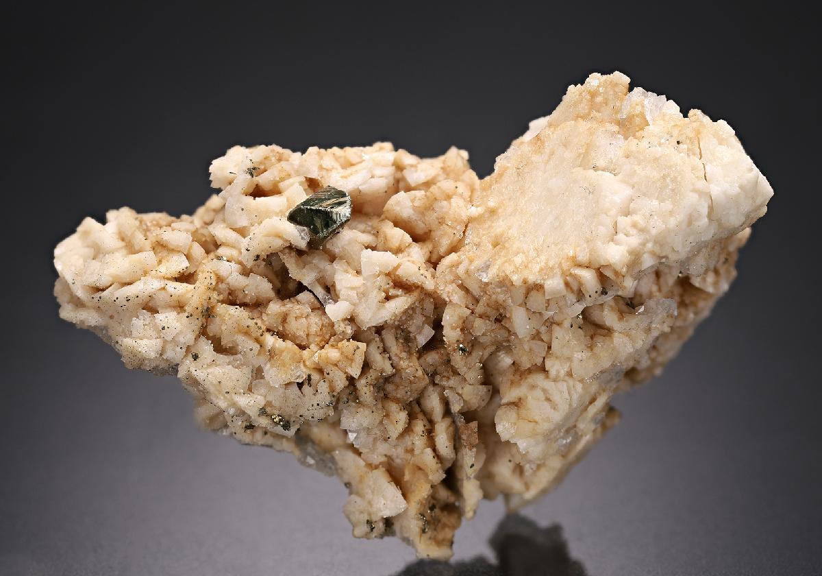 CC14493 specimen image