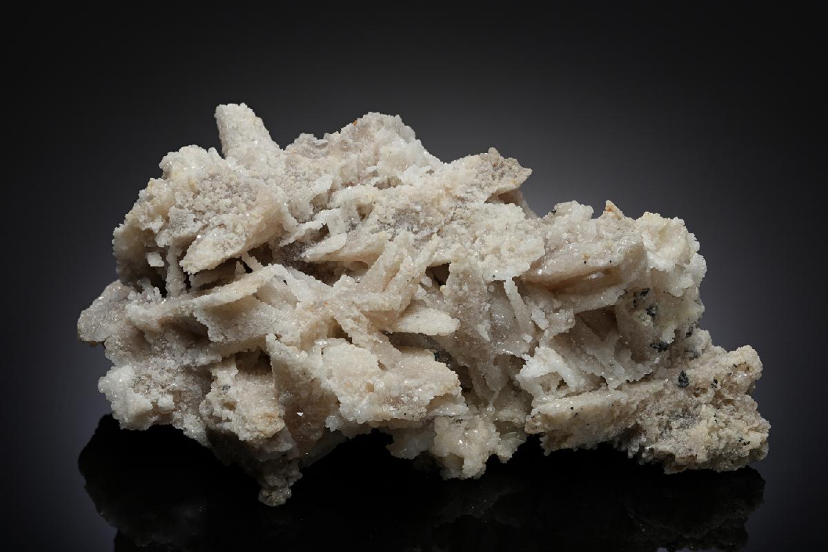 CC14505 specimen image