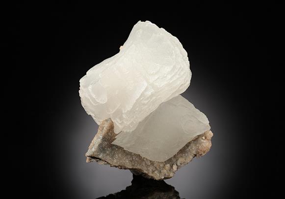 CC14513 specimen image