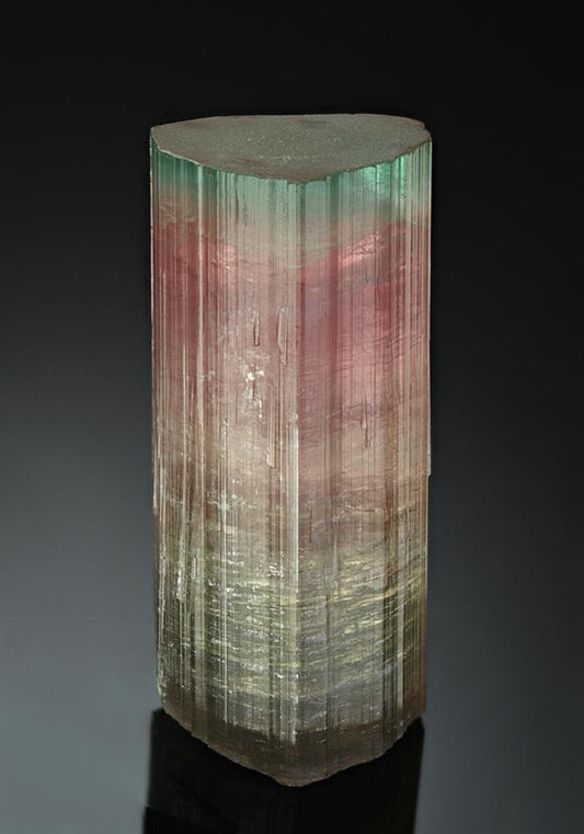 CC14515 specimen image