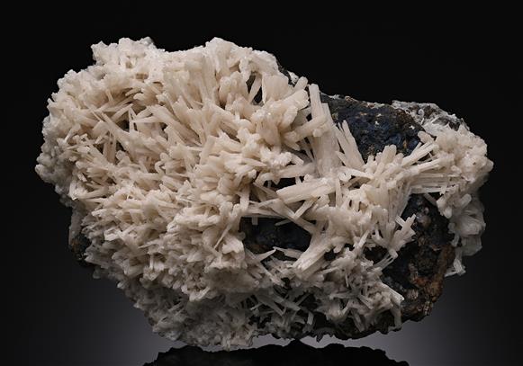 CC14601 specimen image