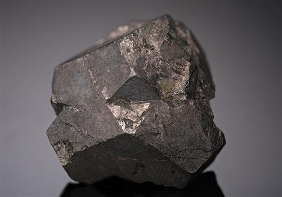 CC14626 specimen image