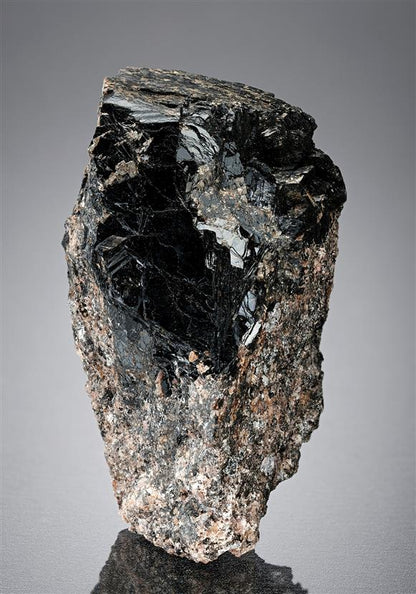 CC14674 specimen image