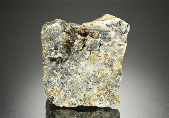 CC14684 specimen image