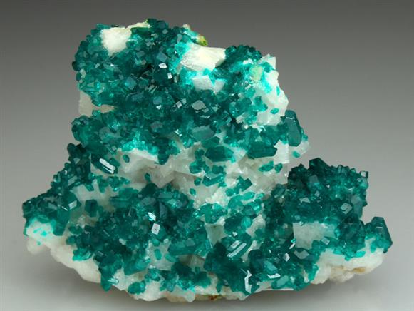 CC1469 specimen image