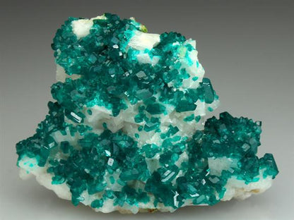 CC1469 specimen image