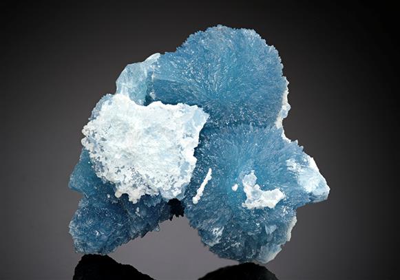 CC14700 specimen image
