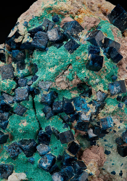 CC14720 specimen image