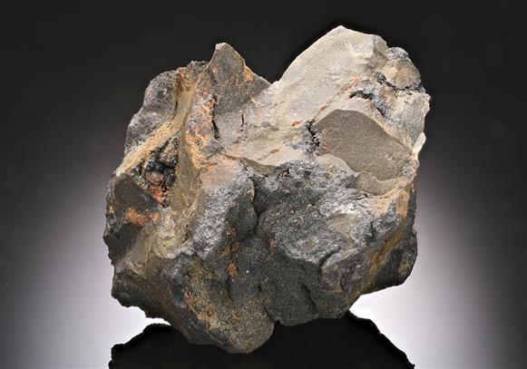 CC14736 specimen image
