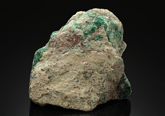 CC14747 specimen image
