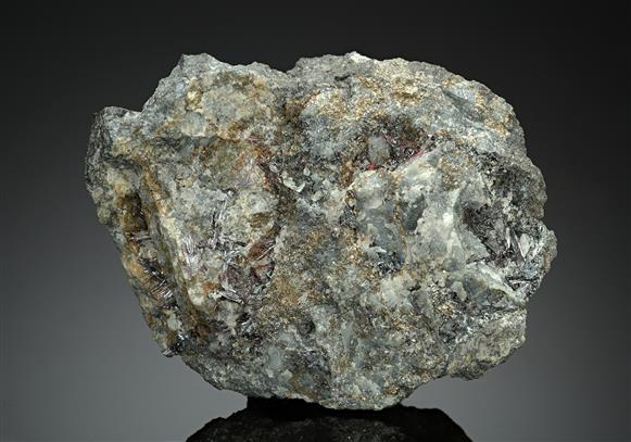 CC14765 specimen image