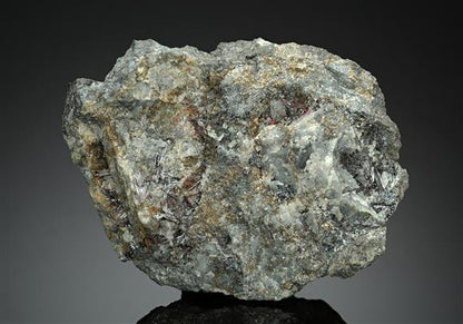 CC14765 specimen image