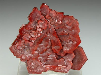 CC1476 specimen image