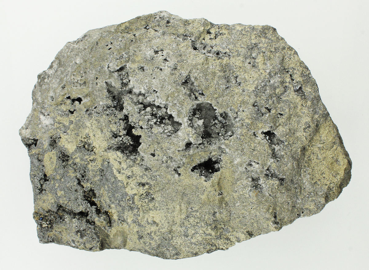 CC14782 specimen image