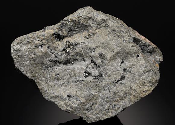 CC14783 specimen image