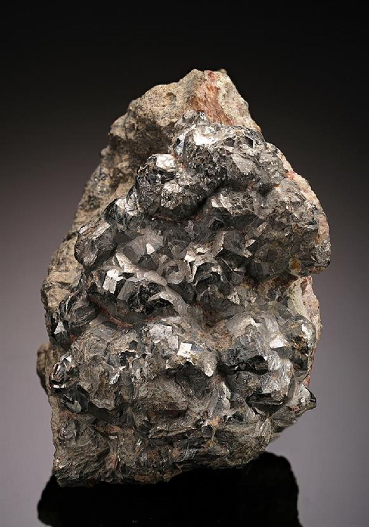 CC14798 specimen image
