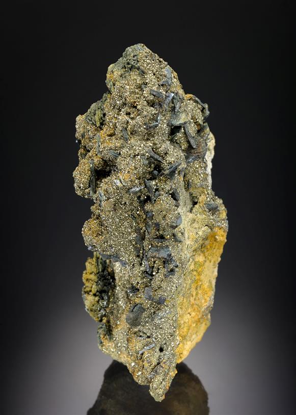 CC14803 specimen image