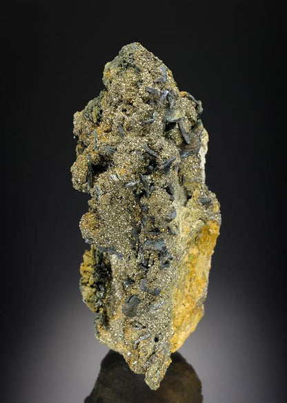 CC14803 specimen image