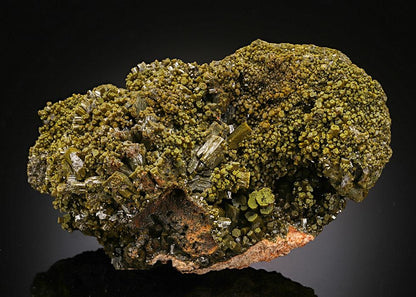 CC14818 specimen image